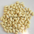 Chinese New Crop Blanched Peanut Kernel